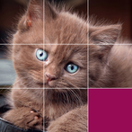 Jigsaw Puzzles: HD Puzzle Game