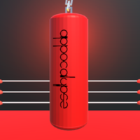 TAKARI: PUNCHING BAG
