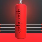 TAKARI: PUNCHING BAG