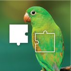 Jigsaw Puzzle Jigsaw Challenge