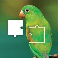 Jigsaw Puzzle Jigsaw Challenge