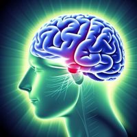 Numerical Logic IQ Test