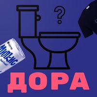Как стать унитазом Доры