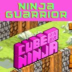 ninja guarrior