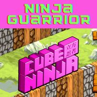 ninja guarrior
