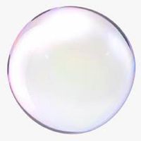 Bubble(Tim) - Wong's Studio