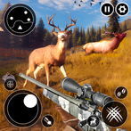 Animal Attack: Animal Games
