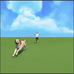 Dog Walking Master