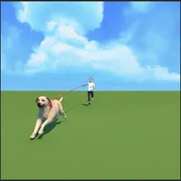 Dog Walking Master