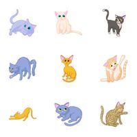 Редкие кошки