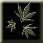 Leaf Fidget