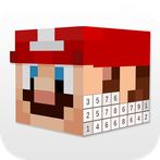 Skin Draw 3d-Craft Miner Skin