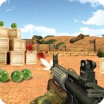 Watermelon Shooting 3D