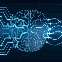 Memory : Mighty Brain