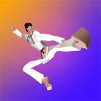 RETRO KARATE