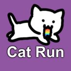 Cat Run