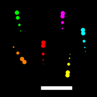 Crown Fronton - Balls Bounce