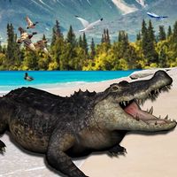 Animal Hunter Extreme 3d