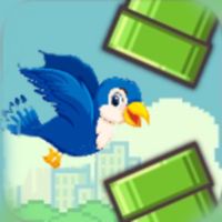 Crazy Flying Bird