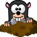 Mole Hunt