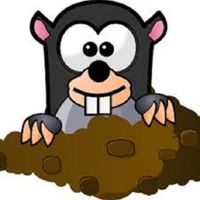 Mole Hunt