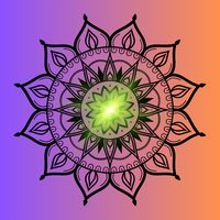 Paint - Sketchbook & Mandala