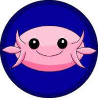 Happy Axolotl