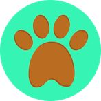 Animals Kingdom Quiz