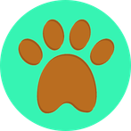 Animals Kingdom Quiz