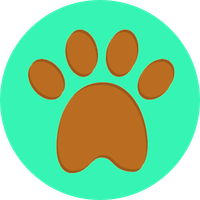 Animals Kingdom Quiz