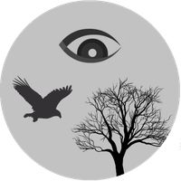 Призрачный свидетель