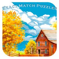 Exact Match Puzzles