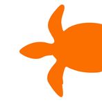 Ultimate Turtles All the Way D