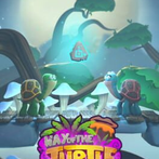 Way of the Turtle