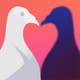 Pigeon: A Love Story