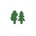 Tree Tapper