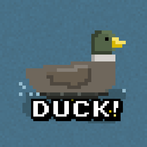 Duck! Duck! Duck!