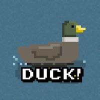 Duck! Duck! Duck!