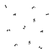 Liun Games