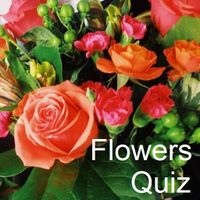 Flowers Quiz