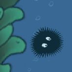 The Echinus: Puzzle, Adventure