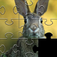 Rabbits Jigsaw Puzzles Games