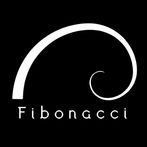 Fibonacci Number Puzzle