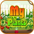 My Plants