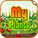 My Plants