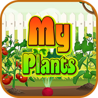 My Plants
