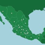 Capitales de Estado de México