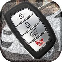 Car Key Remote