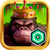 Blox Fruit Robux Connect