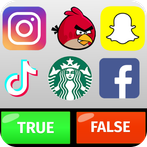 Logo Game : True False Puzzle